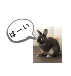 まるで漫画！？げんまいLINEスタンプ（個別スタンプ：8）