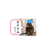 まるで漫画！？げんまいLINEスタンプ（個別スタンプ：10）