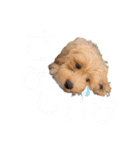 テトだよ！（個別スタンプ：9）