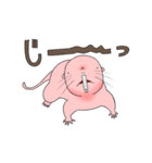 いろいろハダカデバネズミ（個別スタンプ：1）