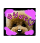 可愛いラキくんスタンプ（個別スタンプ：1）