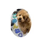 可愛いラキくんスタンプだよ（個別スタンプ：2）