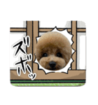 可愛いラキくんスタンプだよ（個別スタンプ：7）