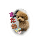 可愛いラキくんスタンプだよ（個別スタンプ：11）