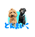 スラッシュ＆ブラン②（個別スタンプ：7）