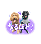 スラッシュ＆ブラン②（個別スタンプ：12）