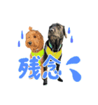 スラッシュ＆ブラン②（個別スタンプ：13）
