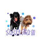 スラッシュ＆ブラン②（個別スタンプ：19）