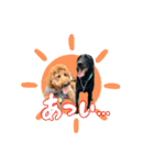 スラッシュ＆ブラン②（個別スタンプ：21）