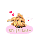 スラッシュ＆ブラン②（個別スタンプ：24）