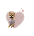 pomi.momoのすたんぷ。（個別スタンプ：11）