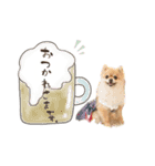 pomi.momoのすたんぷ。（個別スタンプ：14）