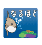 ちょっとおかしな海の仲間たちスタンプ1（個別スタンプ：11）