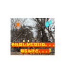 動く！動く！犬やら馬やら変な物まで第2弾（個別スタンプ：11）