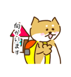 ゆるかわ柴犬 テツのスタンプ（個別スタンプ：14）