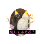 オレ様なねこ様（個別スタンプ：23）