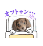 こまめなわんこ5（個別スタンプ：35）