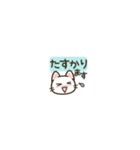 ちいさいスタンプ♪まいにちねこる（個別スタンプ：14）