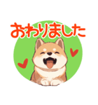 敬語で柴犬だいすき（個別スタンプ：4）