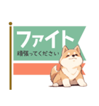 敬語で柴犬だいすき（個別スタンプ：9）