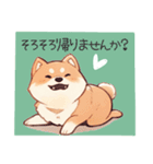 敬語で柴犬だいすき（個別スタンプ：11）