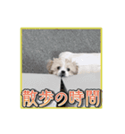 【ペキプーちゃい】語彙録vol.1（個別スタンプ：12）