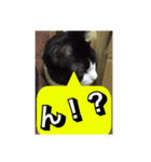 いろいろ✖️カオス✖️世紀末✖️パート3（個別スタンプ：5）