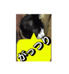 いろいろ✖️カオス✖️世紀末✖️パート3（個別スタンプ：6）