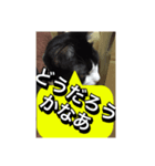 いろいろ✖️カオス✖️世紀末✖️パート3（個別スタンプ：7）