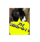 いろいろ✖️カオス✖️世紀末✖️パート3（個別スタンプ：8）