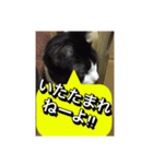 いろいろ✖️カオス✖️世紀末✖️パート3（個別スタンプ：9）