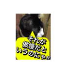 いろいろ✖️カオス✖️世紀末✖️パート3（個別スタンプ：11）