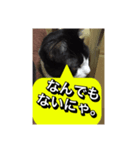 いろいろ✖️カオス✖️世紀末✖️パート3（個別スタンプ：12）
