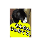 いろいろ✖️カオス✖️世紀末✖️パート3（個別スタンプ：13）