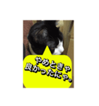 いろいろ✖️カオス✖️世紀末✖️パート3（個別スタンプ：14）