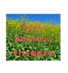 いい意味で降参です(スピリチュアル)5（個別スタンプ：36）