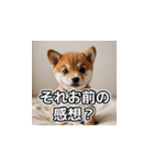 簡潔に伝える柴犬（個別スタンプ：9）