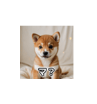 簡潔に伝える柴犬（個別スタンプ：20）