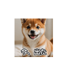 簡潔に伝える柴犬（個別スタンプ：22）