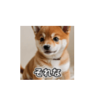 簡潔に伝える柴犬（個別スタンプ：26）