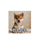 簡潔に伝える柴犬（個別スタンプ：31）