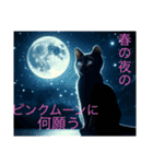 黒猫 ルナ院長141にゃんめ（個別スタンプ：3）