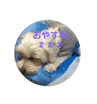 まるぷー 두부（トゥブ）（個別スタンプ：4）