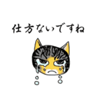 茶ねこのスタンプ（個別スタンプ：11）