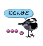 早歩き鳥のハクセキレイ2（関西弁やで～）（個別スタンプ：4）