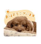 かわいいメアリーちゃん（個別スタンプ：1）