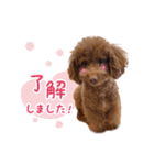 かわいいメアリーちゃん（個別スタンプ：3）