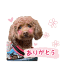 かわいいメアリーちゃん（個別スタンプ：5）