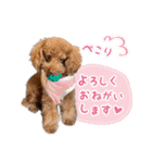 かわいいメアリーちゃん（個別スタンプ：9）
