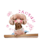 かわいいメアリーちゃん（個別スタンプ：10）